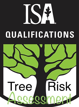 ISA Tree Risk Assessment Qualification – sertifisering for arborist hos Skogen Trepleie AS