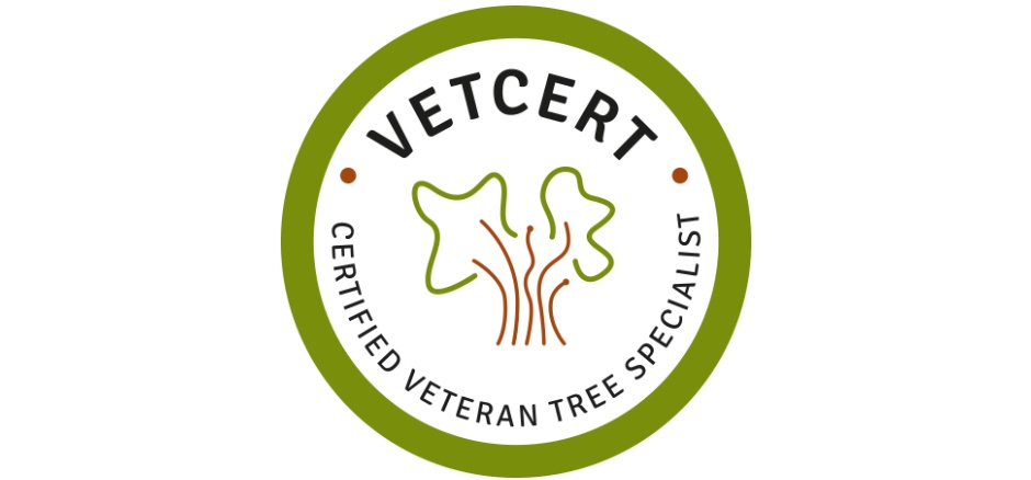 VETCERT – Certified Veteran Tree Specialist – sertifisering for arborist hos Skogen Trepleie AS